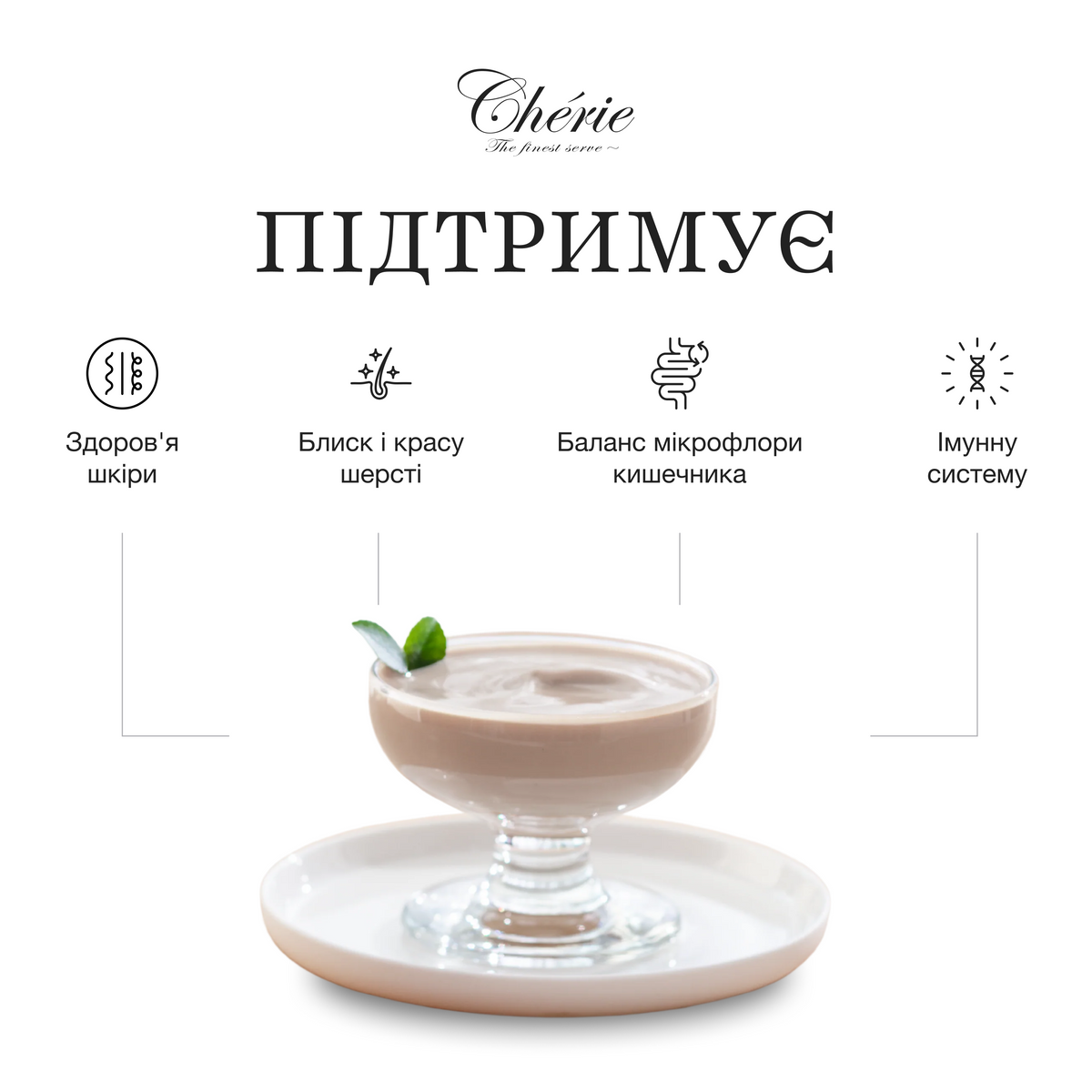ПЮРЕ З КУРКОЮ ДЛЯ КОТІВ, ЗДОРОВА ШЕРСТЬ, 40 г
