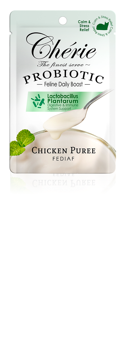 Creamy Care (Probiotic)