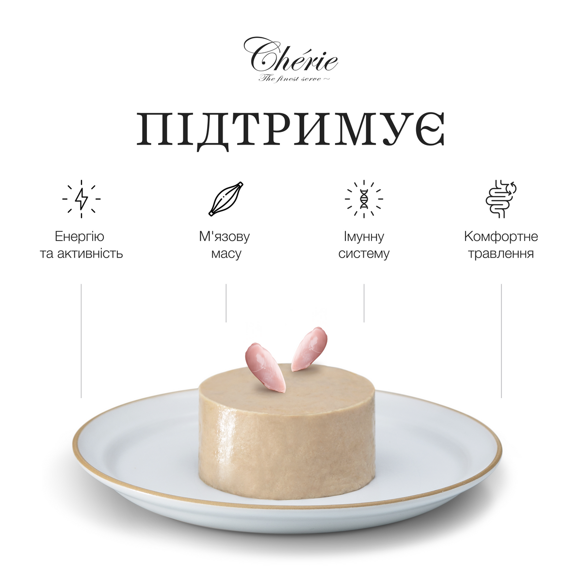КРЕМОВІ ЛАСОЩІ З КУРКОЮ ДЛЯ СОБАК, 4×12 г