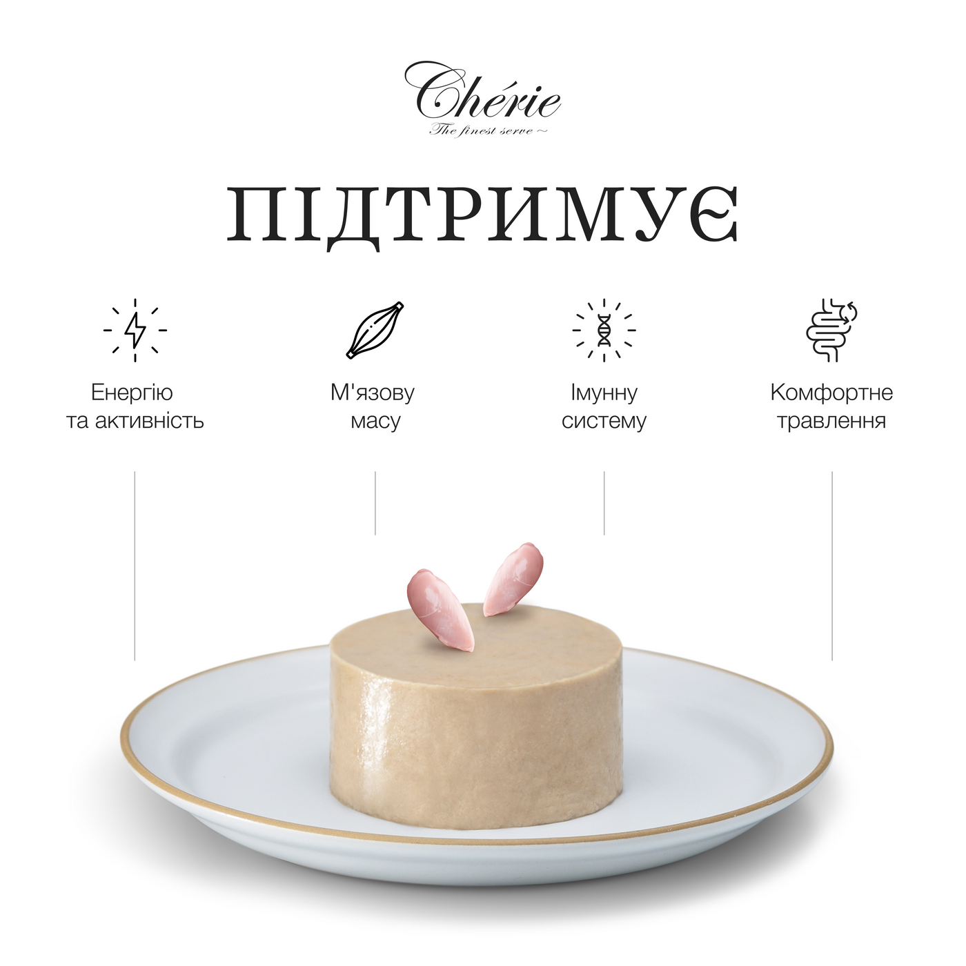 КРЕМОВІ ЛАСОЩІ З КУРКОЮ ДЛЯ СОБАК, 4×12 г