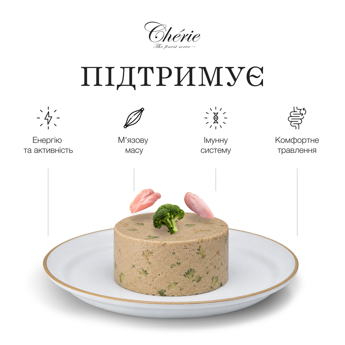 КРЕМОВІ ЛАСОЩІ З КУРКОЮ ТА БРОКОЛІ ДЛЯ СОБАК, 4×12 г