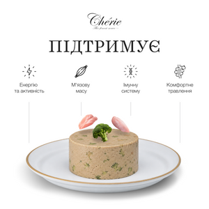 КРЕМОВІ ЛАСОЩІ З КУРКОЮ ТА БРОКОЛІ ДЛЯ СОБАК, 4×12 г