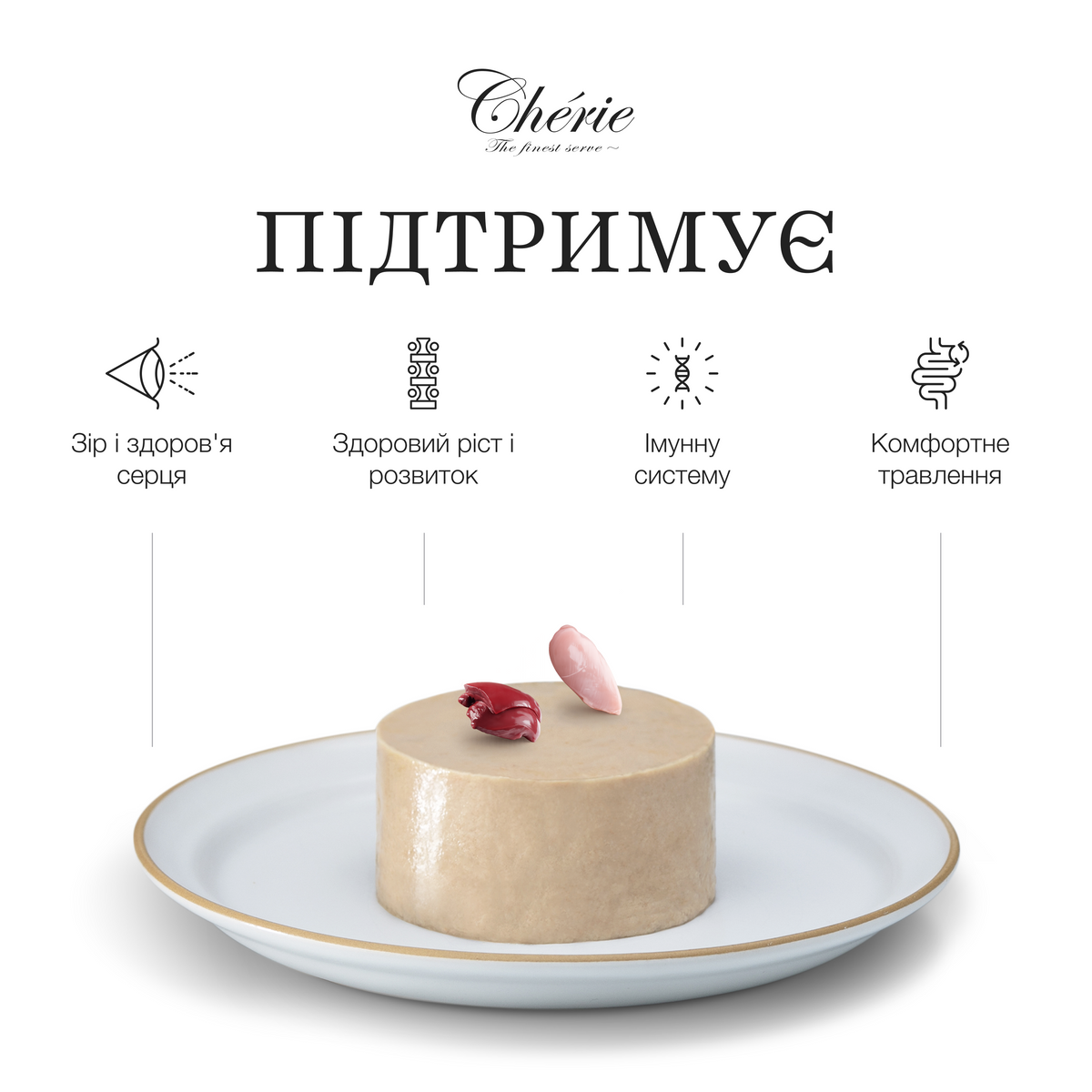ВОЛОГИЙ КОРМ-МУС ІЗ КУРКИ ДЛЯ КОШЕНЯТ, 90 г