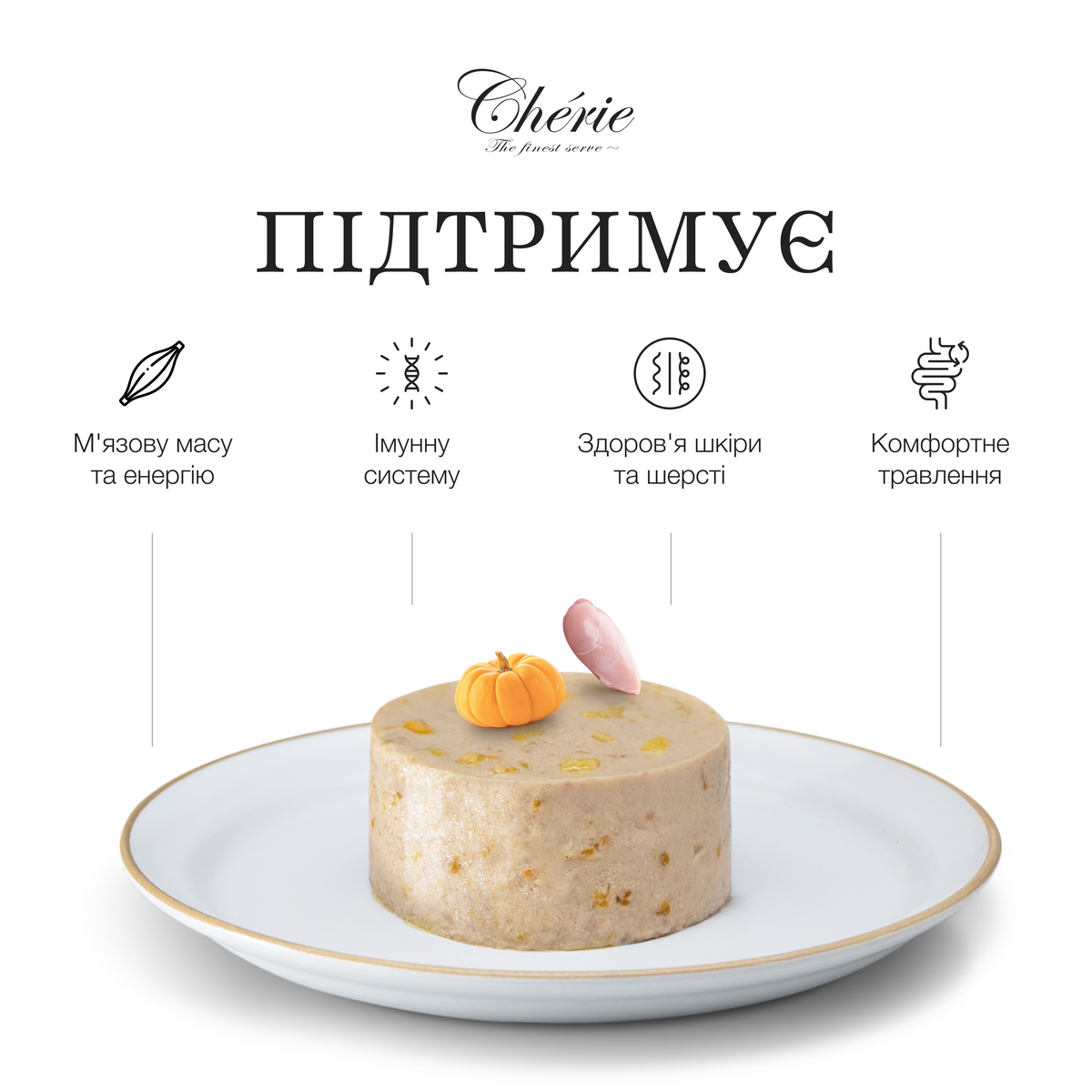 ВОЛОГИЙ КОРМ-МУС ІЗ КУРКИ ТА ГАРБУЗА ДЛЯ КОТІВ РІЗНОГО ВІКУ, 90 г