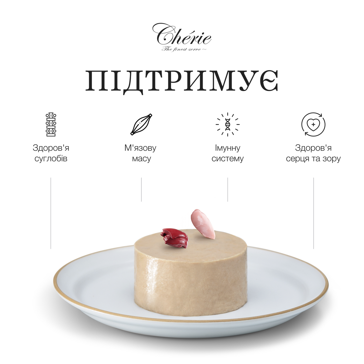 ВОЛОГИЙ КОРМ-МУС ІЗ КУРКОЮ ДЛЯ КОТІВ СТАРШОГО ВІКУ, 90 г