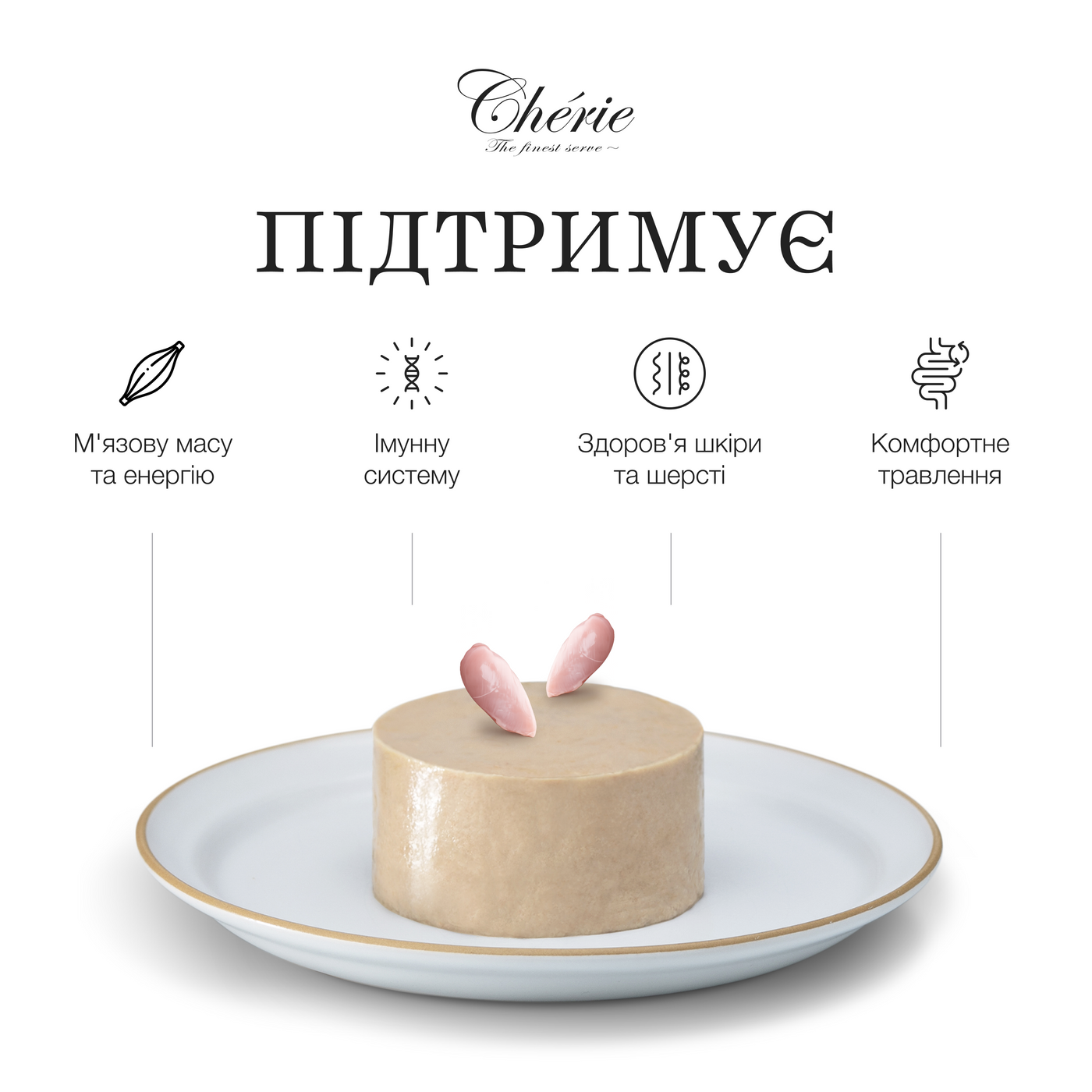 ВОЛОГИЙ КОРМ-МУС ІЗ КУРКИ ДЛЯ ДОРОСЛИХ СОБАК, 90 г