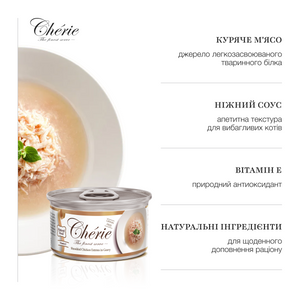 ШМАТОЧКИ КУРКИ В СОУСІ ДЛЯ КОТІВ, 80 г