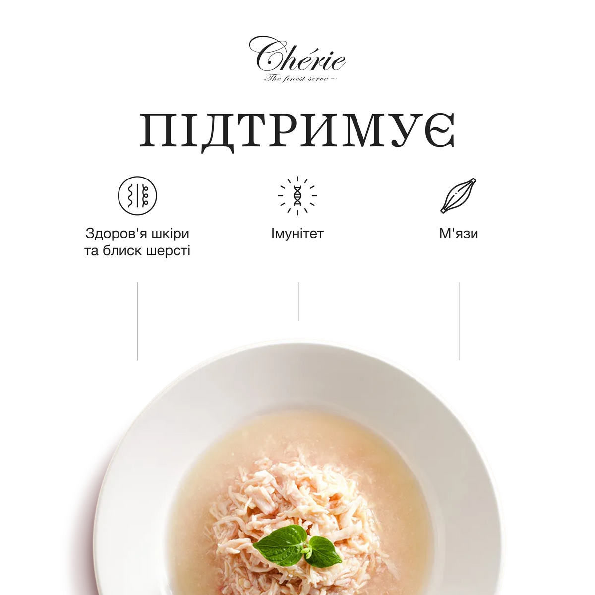 ШМАТОЧКИ КУРКИ В СОУСІ ДЛЯ КОТІВ, 80 г