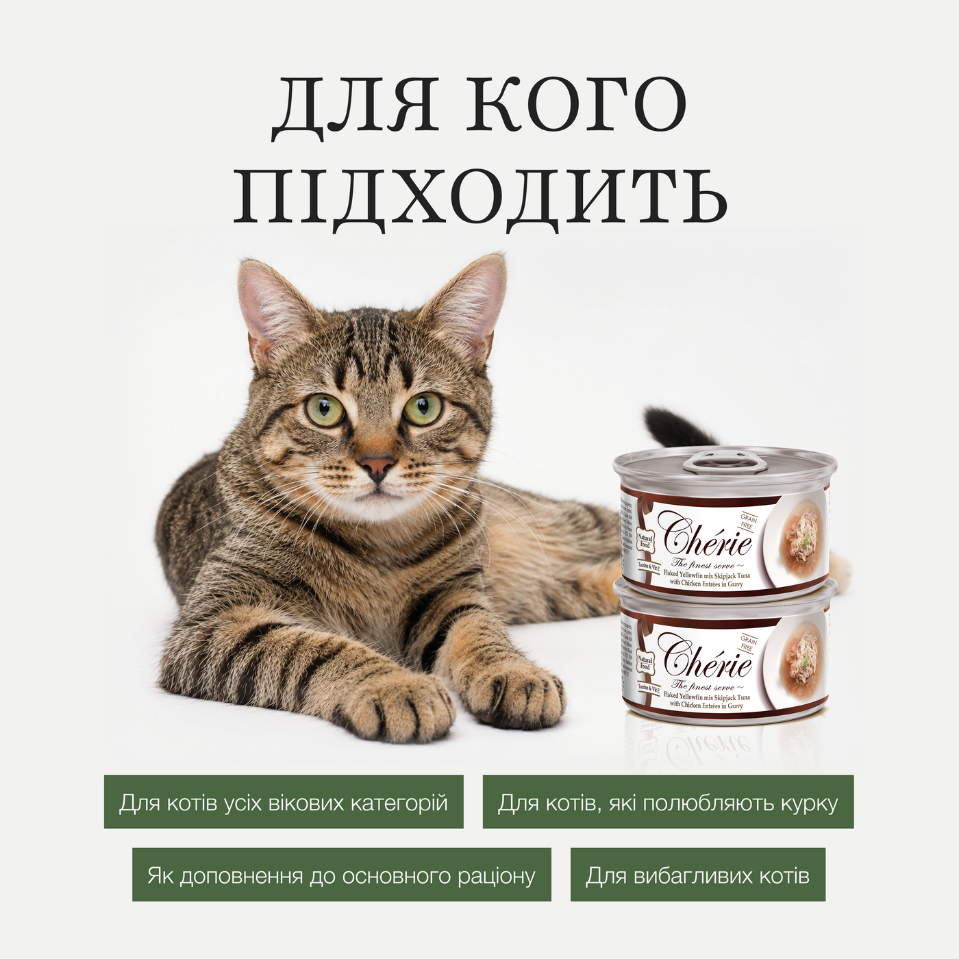 ШМАТОЧКИ ТУНЦЯ ТА КУРКИ В СОУСІ ДЛЯ КОТІВ, 80 г