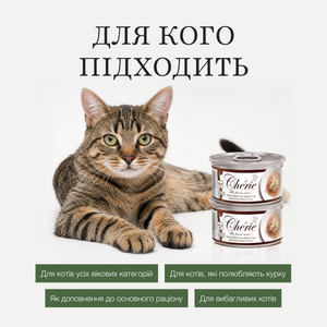 ШМАТОЧКИ ТУНЦЯ ТА КУРКИ В СОУСІ ДЛЯ КОТІВ, 80 г