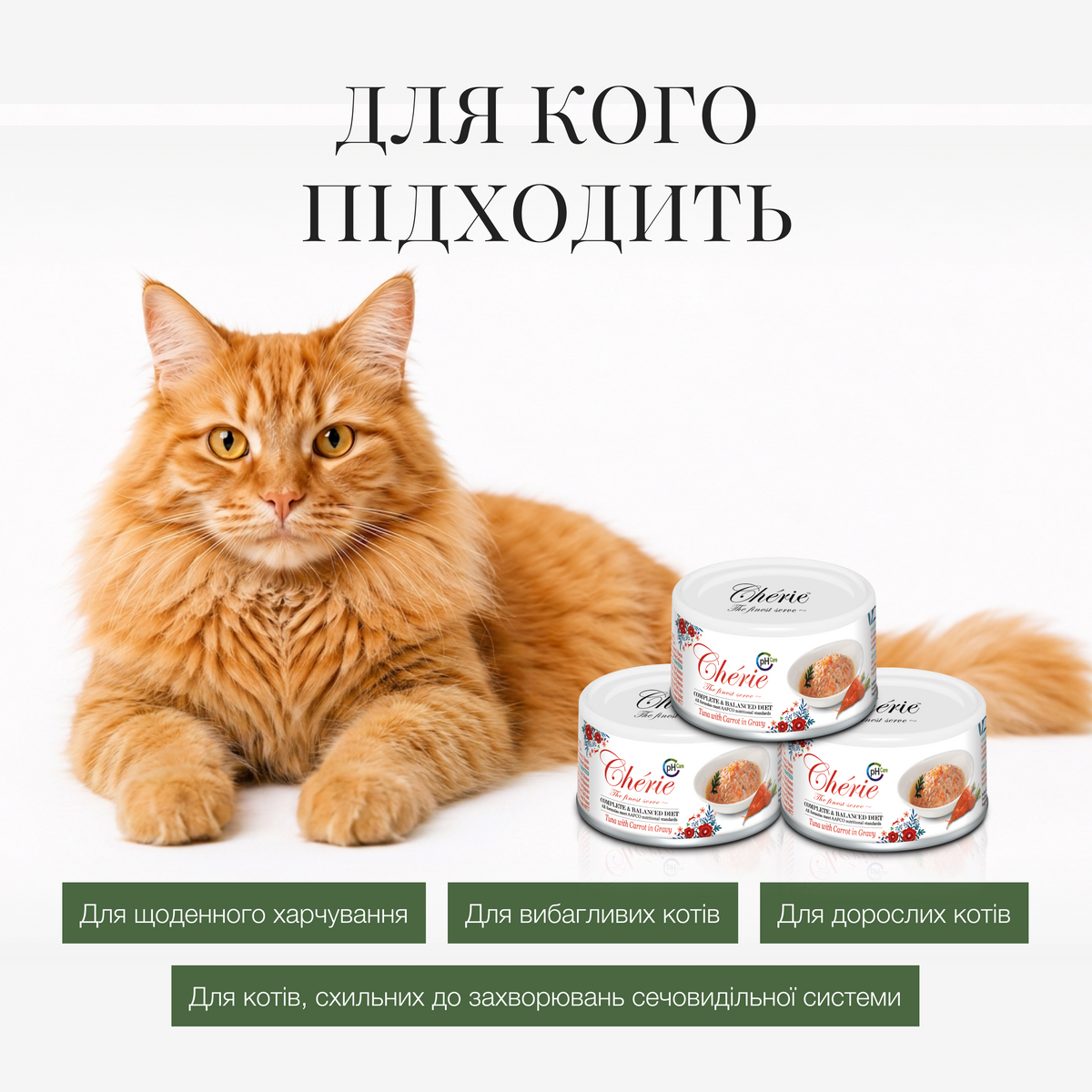 ВОЛОГИЙ КОРМ ІЗ ТУНЦЕМ ТА МОРКВОЮ В СОУСІ ДЛЯ КОТІВ, 80 г