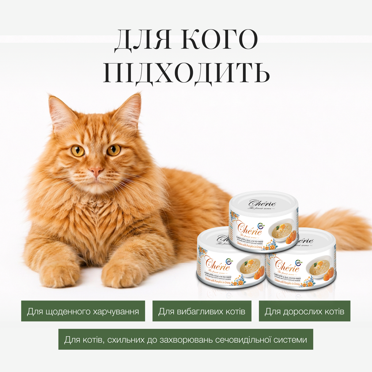 ВОЛОГИЙ КОРМ ІЗ КУРКОЮ ТА ГАРБУЗОМ В СОУСІ ДЛЯ КОТІВ, 80 г