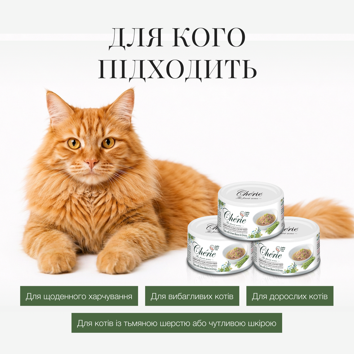 ВОЛОГИЙ КОРМ ІЗ ТУНЦЕМ ТА ЗЕЛЕНОЮ КВАСОЛЕЮ В СОУСІ ДЛЯ КОТІВ, 80 г