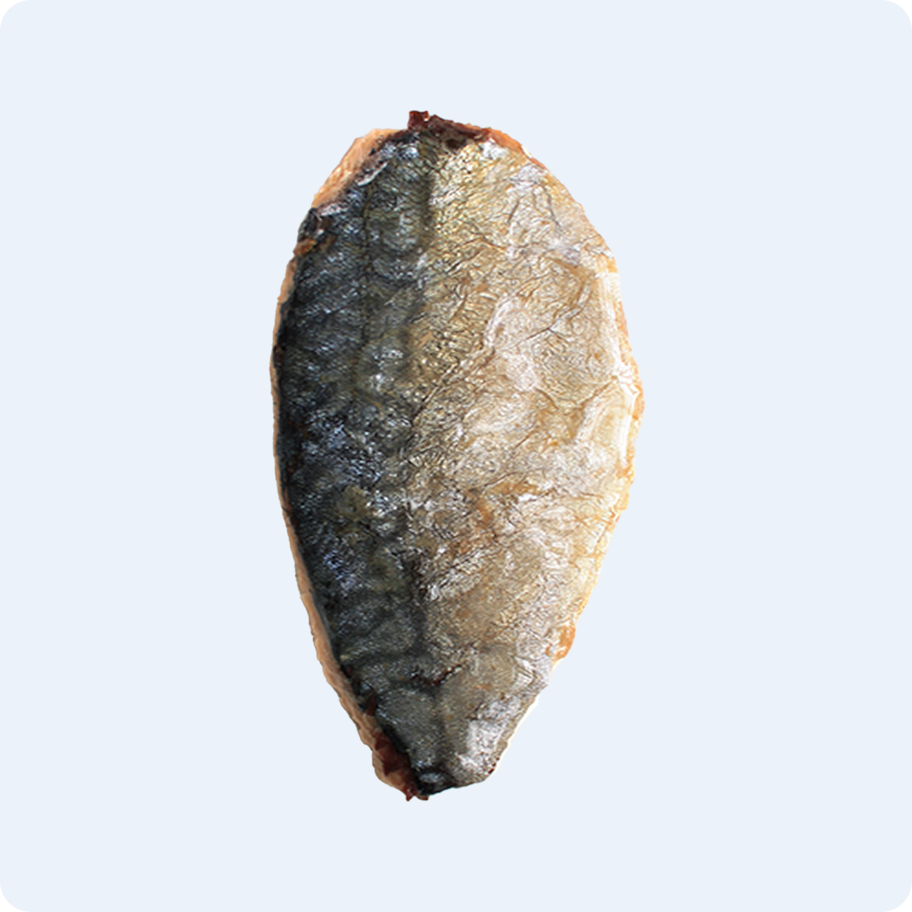 ЛАСОЩІ ДЛЯ КОТІВ СКУМБРІЯ НА ПАРУ 30 г