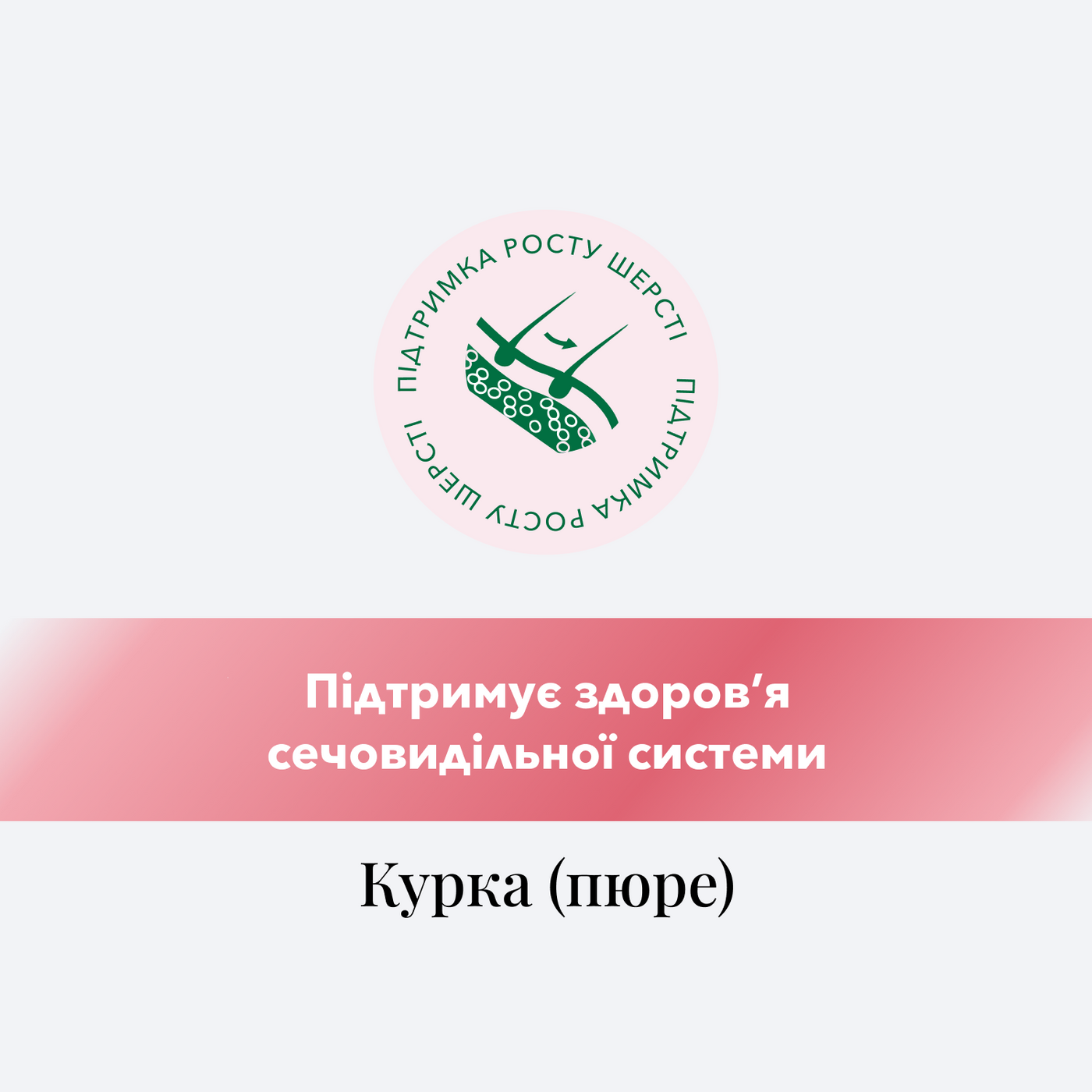 CHÉRIE ПЮРЕ З КУРКОЮ ДЛЯ КОТІВ, ЗДОРОВА ШЕРСТЬ 40 г