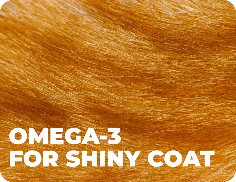 Натуральні та високоякісні інгредієнти без злаків