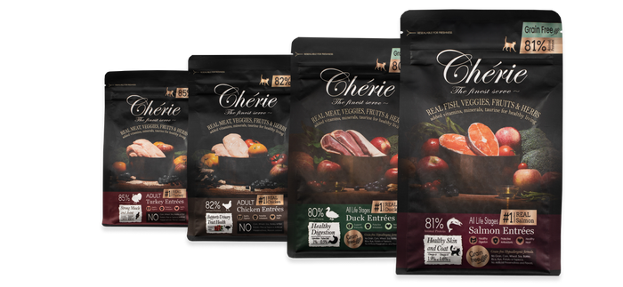 Сухий корм для котів