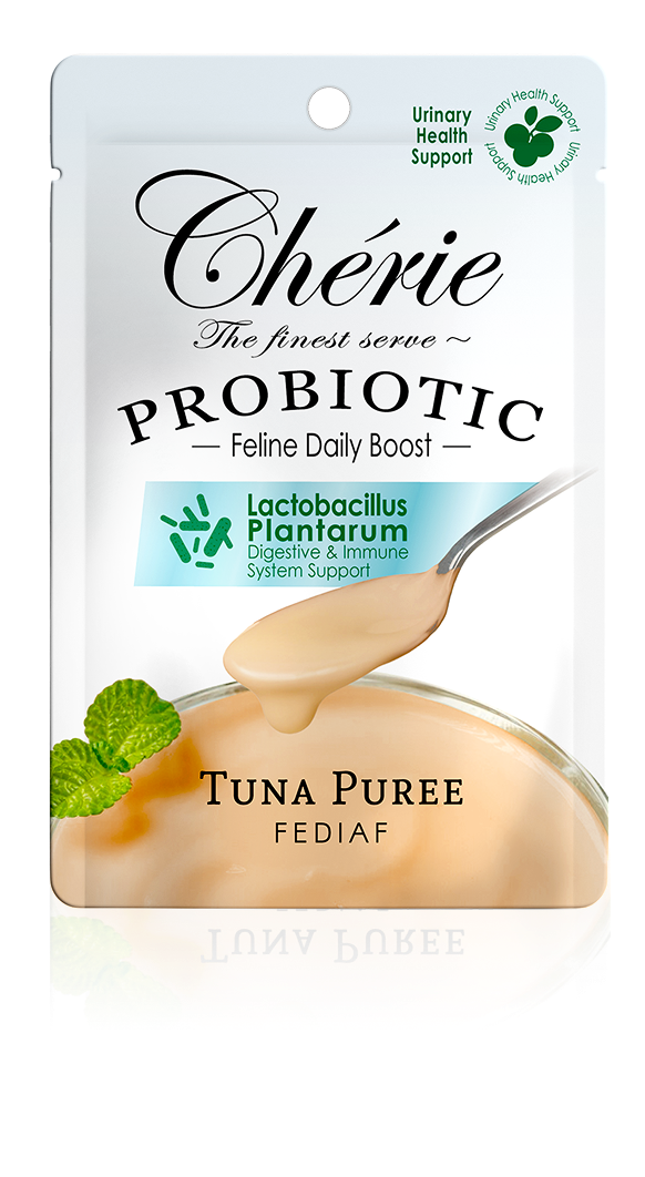 Creamy Care (Probiotic)