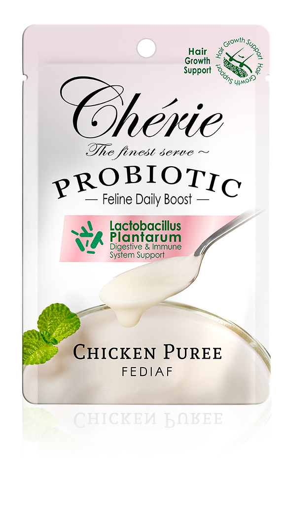 Creamy Care (Probiotic)