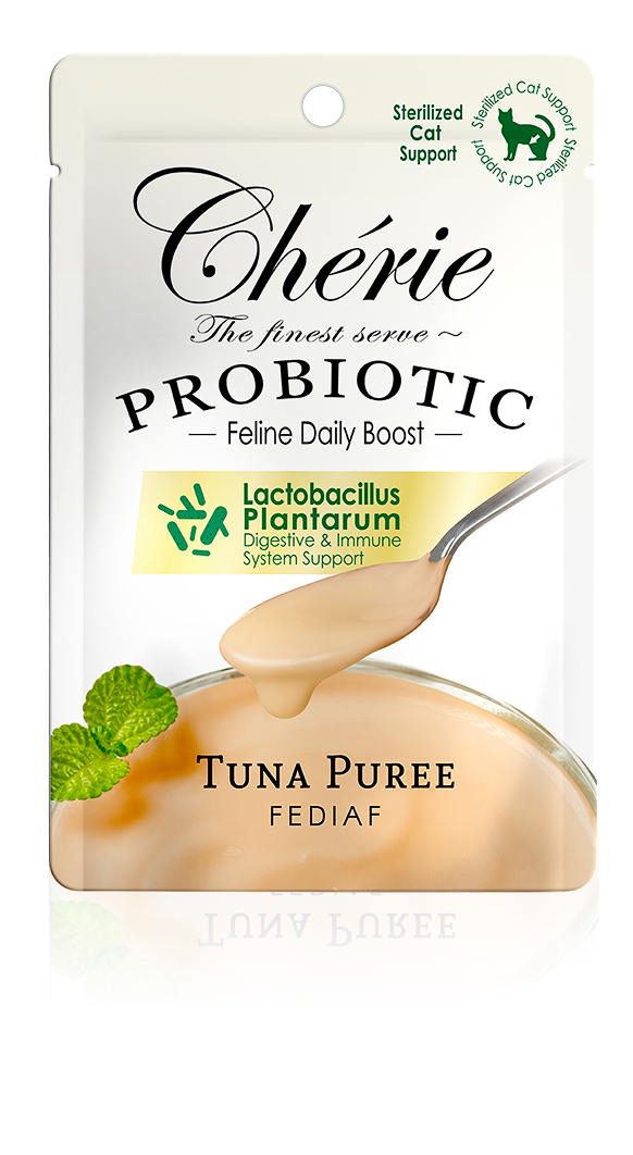 Creamy Care (Probiotic)